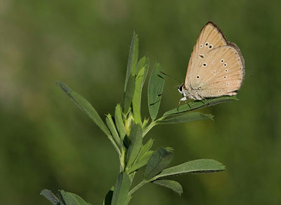 BUITEN BEELD Foto: 35738
