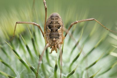 BUITEN BEELD Foto: 35781