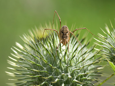 BUITEN BEELD Foto: 35782