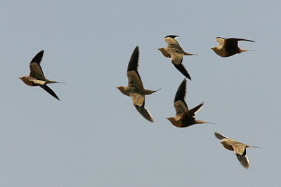 BUITEN BEELD Foto: 35813