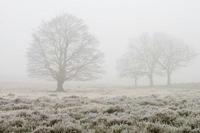 BUITEN BEELD Foto: 359024