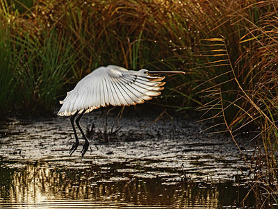 BUITEN BEELD Foto: 359054
