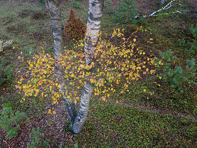 BUITEN BEELD Foto: 359062