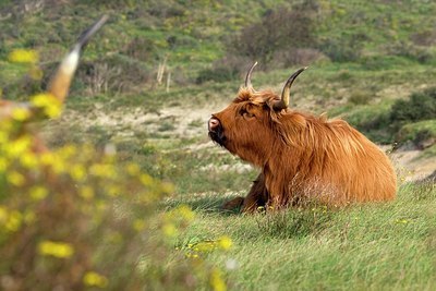 BUITEN BEELD Foto: 359065
