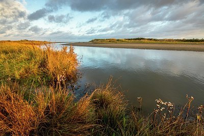BUITEN BEELD Foto: 359087