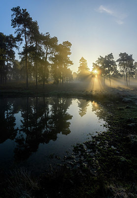 BUITEN BEELD Foto: 359117