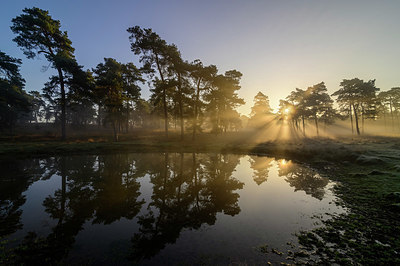 BUITEN BEELD Foto: 359118