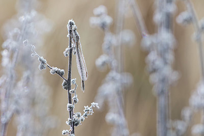 BUITEN BEELD Foto: 359179