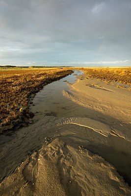 BUITEN BEELD Foto: 359203