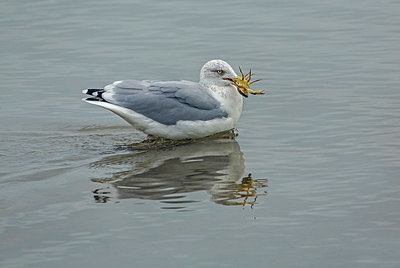 BUITEN BEELD Foto: 359222