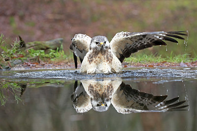 BUITEN BEELD Foto: 359232