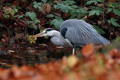 BUITEN BEELD Foto: 359451