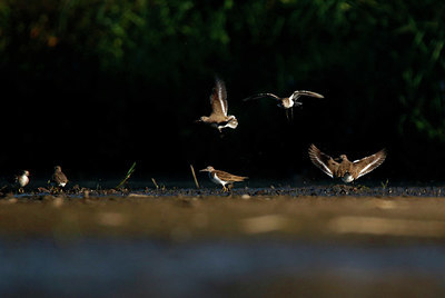 BUITEN BEELD Foto: 359478