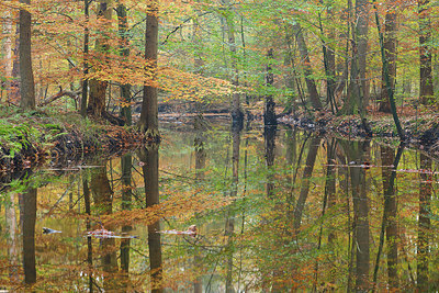 BUITEN BEELD Foto: 359548