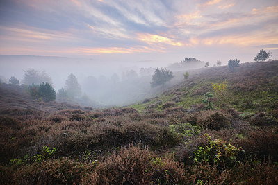 BUITEN BEELD Foto: 359554