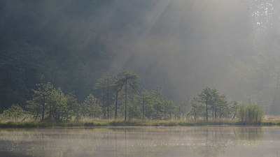 BUITEN BEELD Foto: 359572