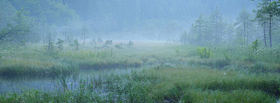 BUITEN BEELD Foto: 359574