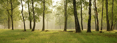 BUITEN BEELD Foto: 359593