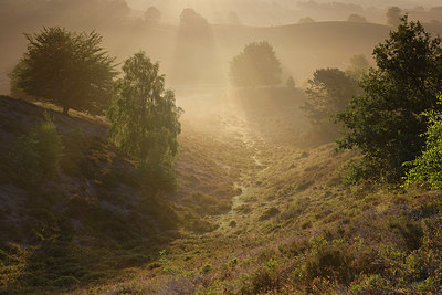 BUITEN BEELD Foto: 359595