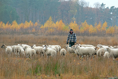 BUITEN BEELD Foto: 359617