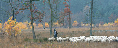 BUITEN BEELD Foto: 359620