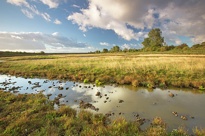 BUITEN BEELD Foto: 359650