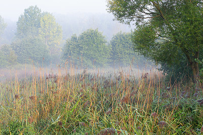 BUITEN BEELD Foto: 359664