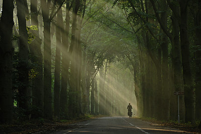 BUITEN BEELD Foto: 359673