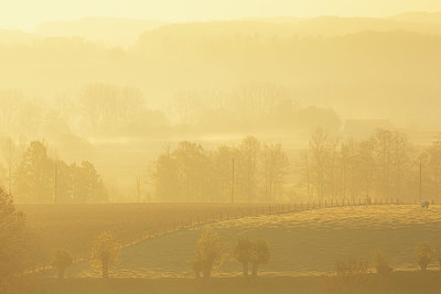 BUITEN BEELD Foto: 359712