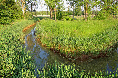 BUITEN BEELD Foto: 359730