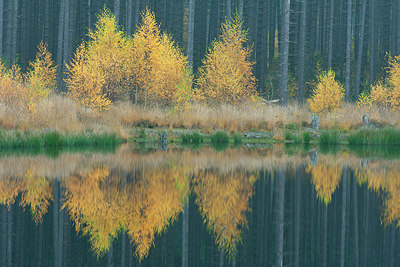 BUITEN BEELD Foto: 359736