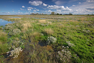 BUITEN BEELD Foto: 359749