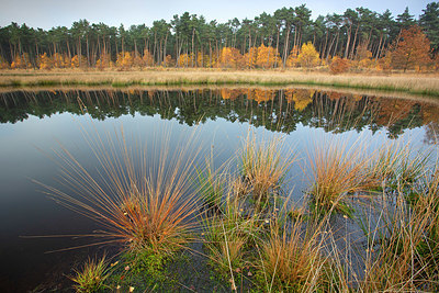 BUITEN BEELD Foto: 359764