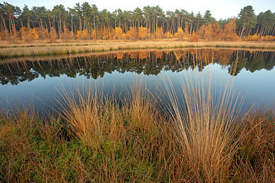 BUITEN BEELD Foto: 359766
