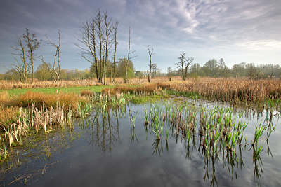 BUITEN BEELD Foto: 359776