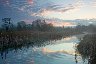 BUITEN BEELD Foto: 359777