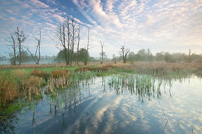 BUITEN BEELD Foto: 359835