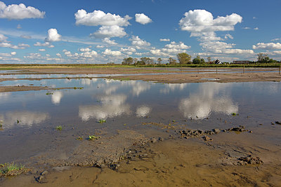 BUITEN BEELD Foto: 359854