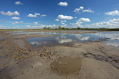 BUITEN BEELD Foto: 359858