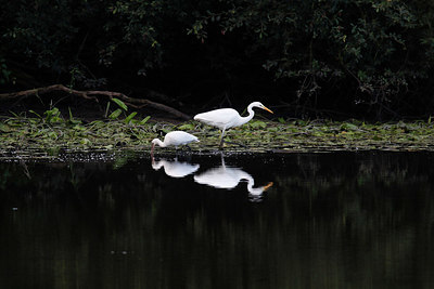 BUITEN BEELD Foto: 359882