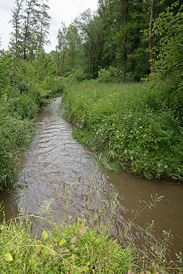 BUITEN BEELD Foto: 360029