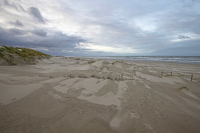 BUITEN BEELD Foto: 360031