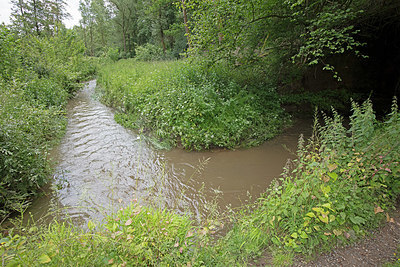 BUITEN BEELD Foto: 360033