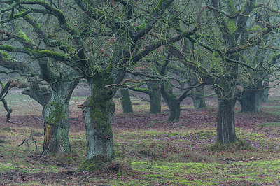 BUITEN BEELD Foto: 360360