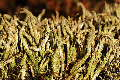 BUITEN BEELD Foto: 360365