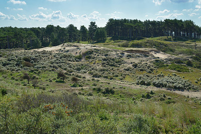 BUITEN BEELD Foto: 360460