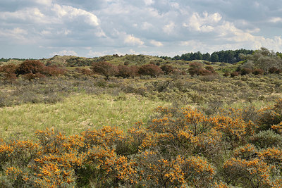 BUITEN BEELD Foto: 360464