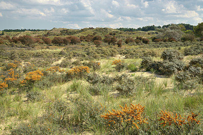 BUITEN BEELD Foto: 360465