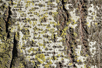 BUITEN BEELD Foto: 360470