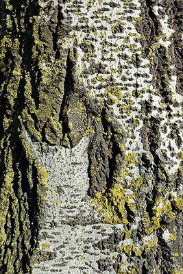 BUITEN BEELD Foto: 360513